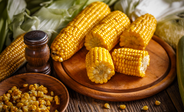 Myanmar Yellow Corn