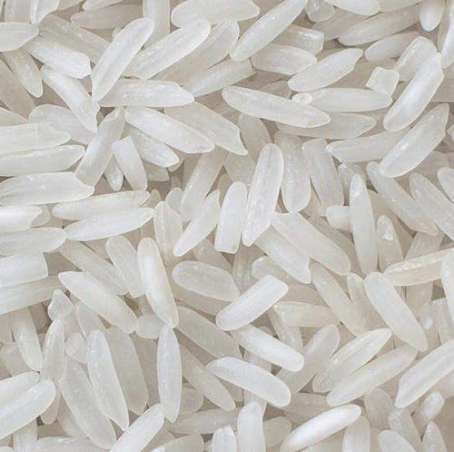 Agricultural products and farming in Myanmar
