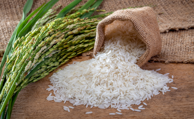 Myanmar Rice